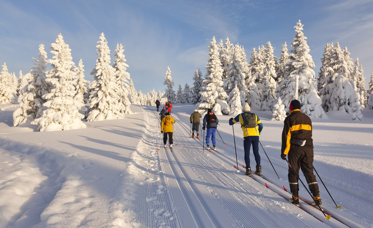 Sonne tanken und Zeit im Freien verbringen - Langlauf und Nordic Ski - Aktivurlaub Österreich - copyright Shutterstock.com