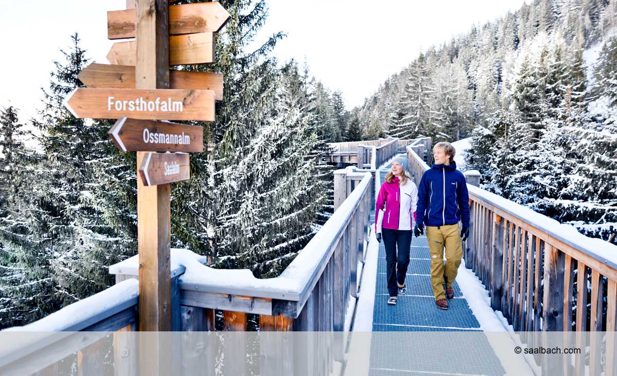 Entspanntes Wandern im Skigebiet im Salzburger Land