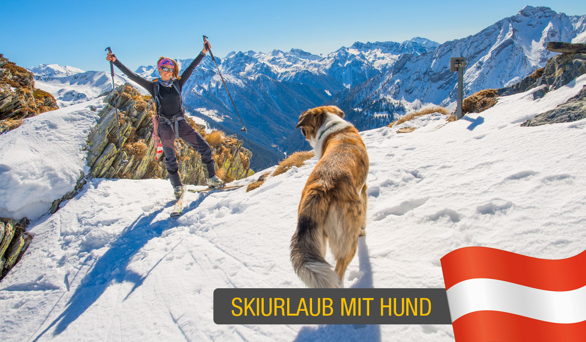 Skiurlaub mit Hund Österreich