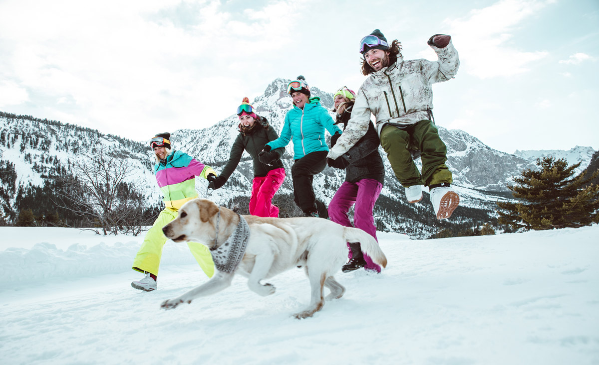 Skiurlaub mit Hund in Österreich - Hundefreundliche Hotels und Chalets direkt an der Piste - copyright Shutterstock.com