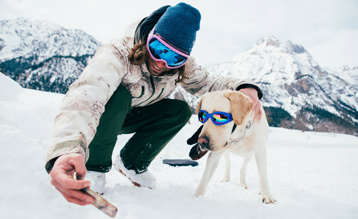 Snowboarden mit Ihrem Hund in Österreich - Chaleturlaub im Skigebiet- copyright Shutterstock.com