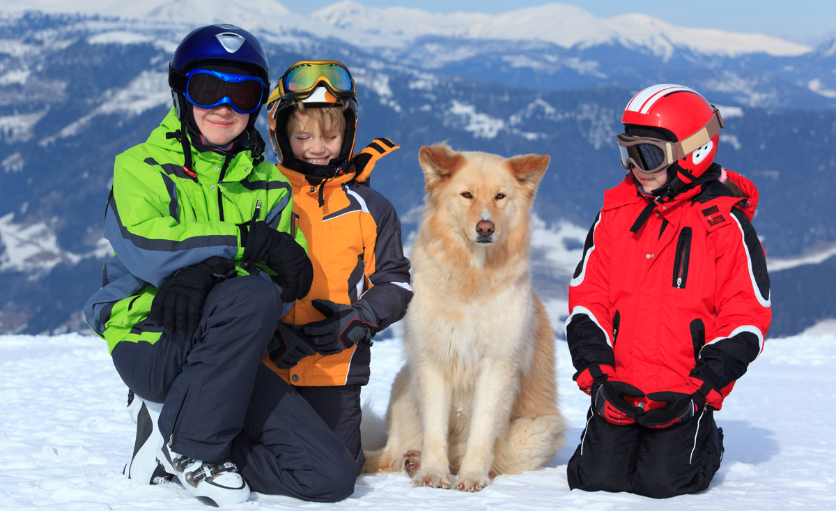 Skifahren lernen mit Hund in Österreich - Skiurlaub mit dem Vierbeiner im Hotel an der Piste - copyright Shutterstock.com